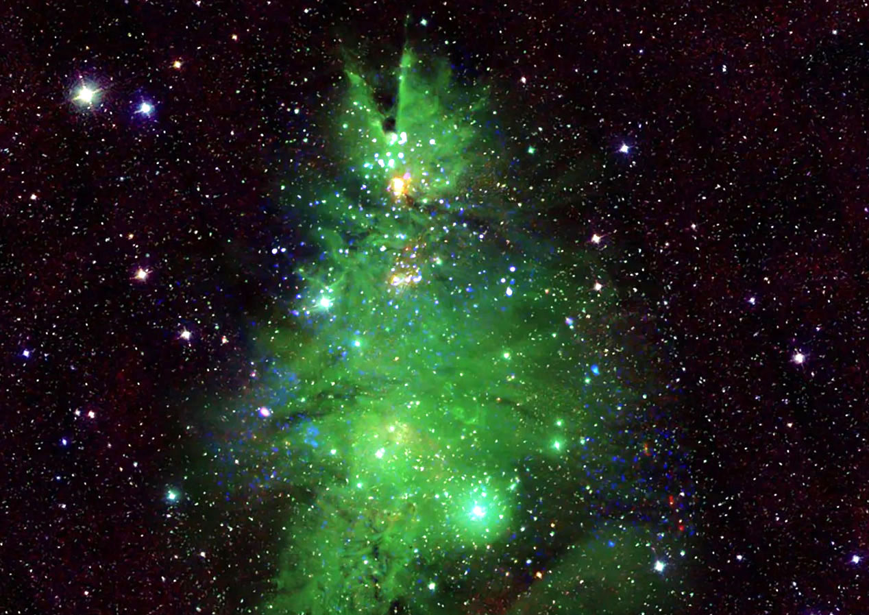 Astro Bob: Watch cosmic Christmas tree twinkle - Vimarsana News